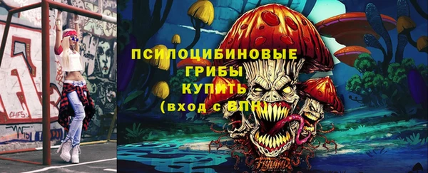 гидра Арсеньев
