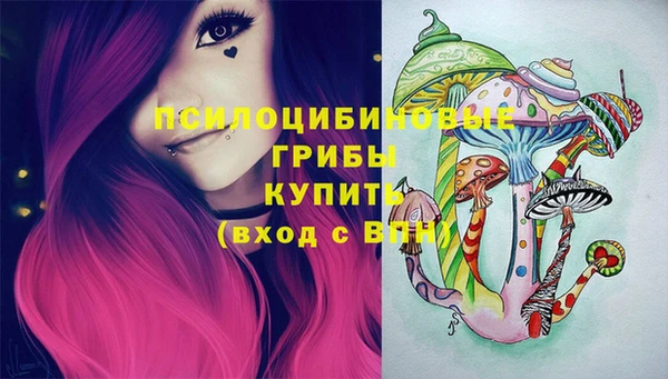 дживик Армянск