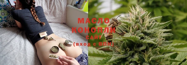 гидра Арсеньев