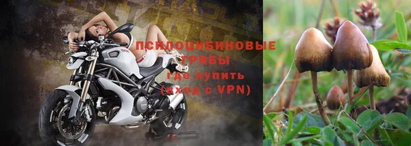 дживик Армянск