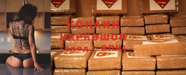 гидра Арсеньев
