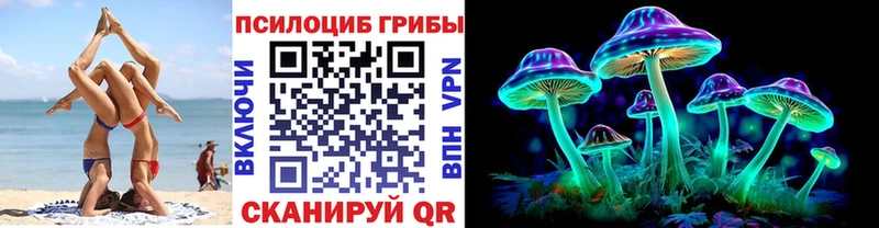 Псилоцибиновые грибы Cubensis  Таштагол 
